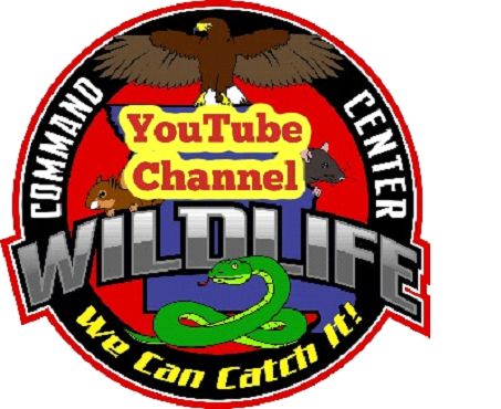 WCC YouTube Channel